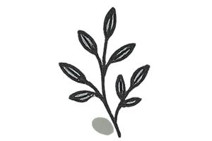 Marketing Automation